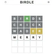 Birdle