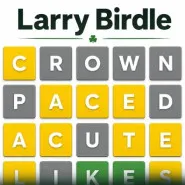 Larrybirdle
